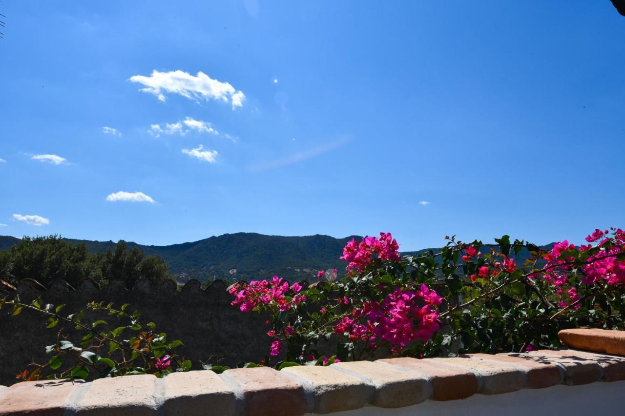 Bentosa Villa Enas ภายนอก รูปภาพ